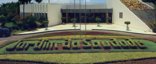 im-servico-floricultura